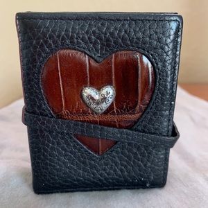 Brighton Picture Case